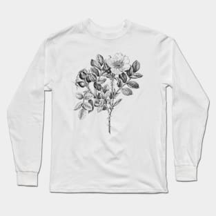 Wild Rose Flower Long Sleeve T-Shirt